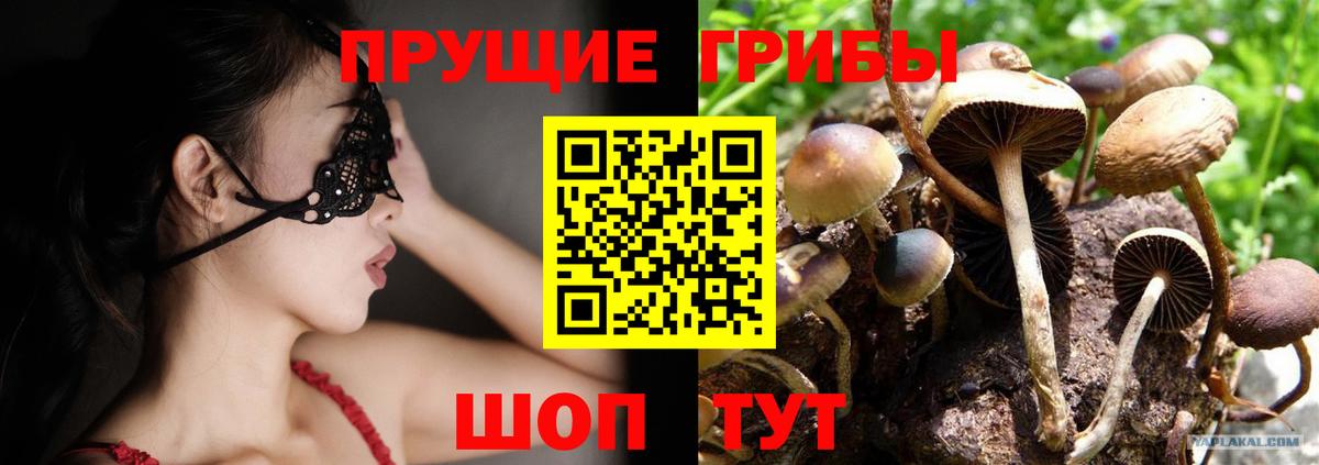 Псилоцибиновые грибы Psilocybe  Вход с VPN  Усть-Кут  Галлюциногенные грибы Magic Shrooms 